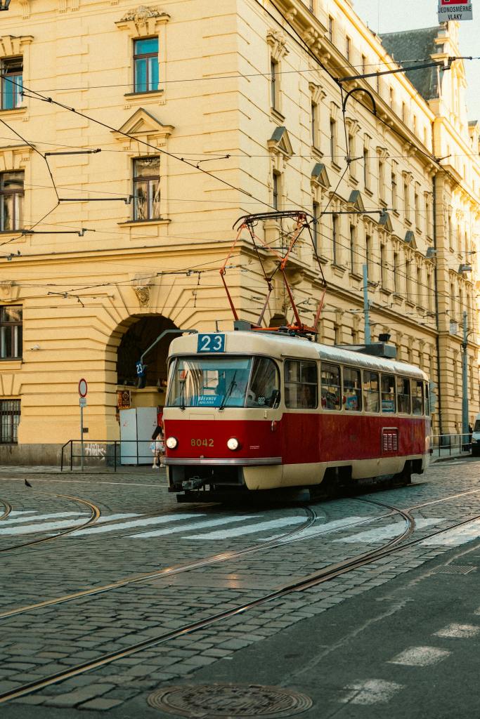 Vegetarian marketing to attract Czech customers